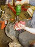 New Housing assembly